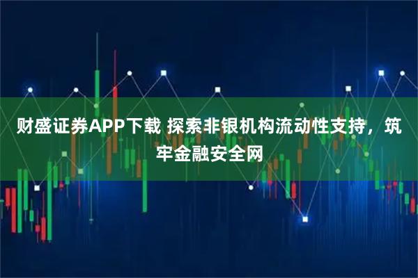 财盛证券APP下载 探索非银机构流动性支持，筑牢金融安全网